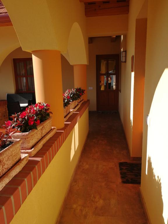 Vitis Vendeghaz Hotel Becsehely Exterior photo